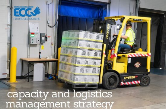 capacity and logistics management strategy