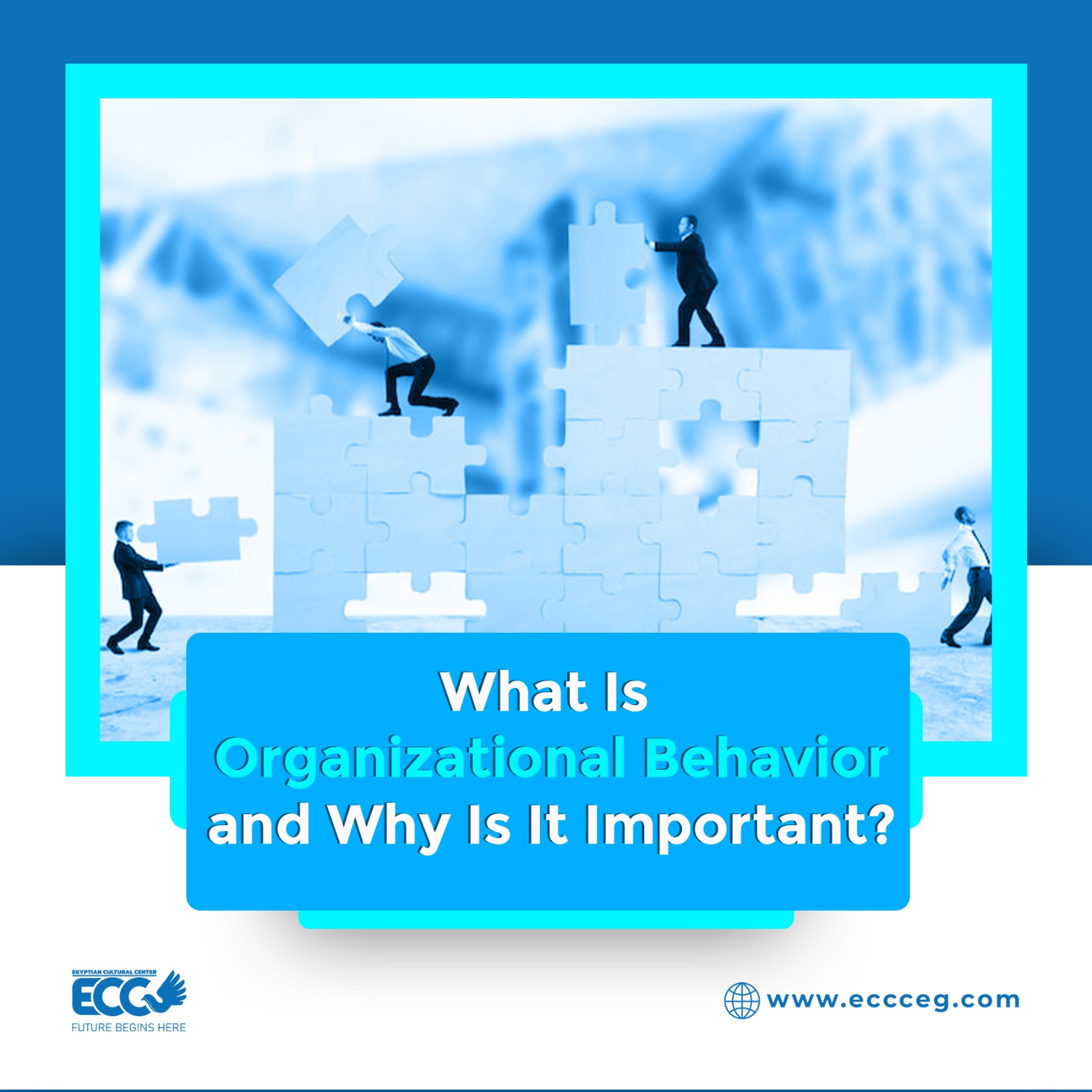 What Is Organizational Behavior (OB), and Why Is It Important?