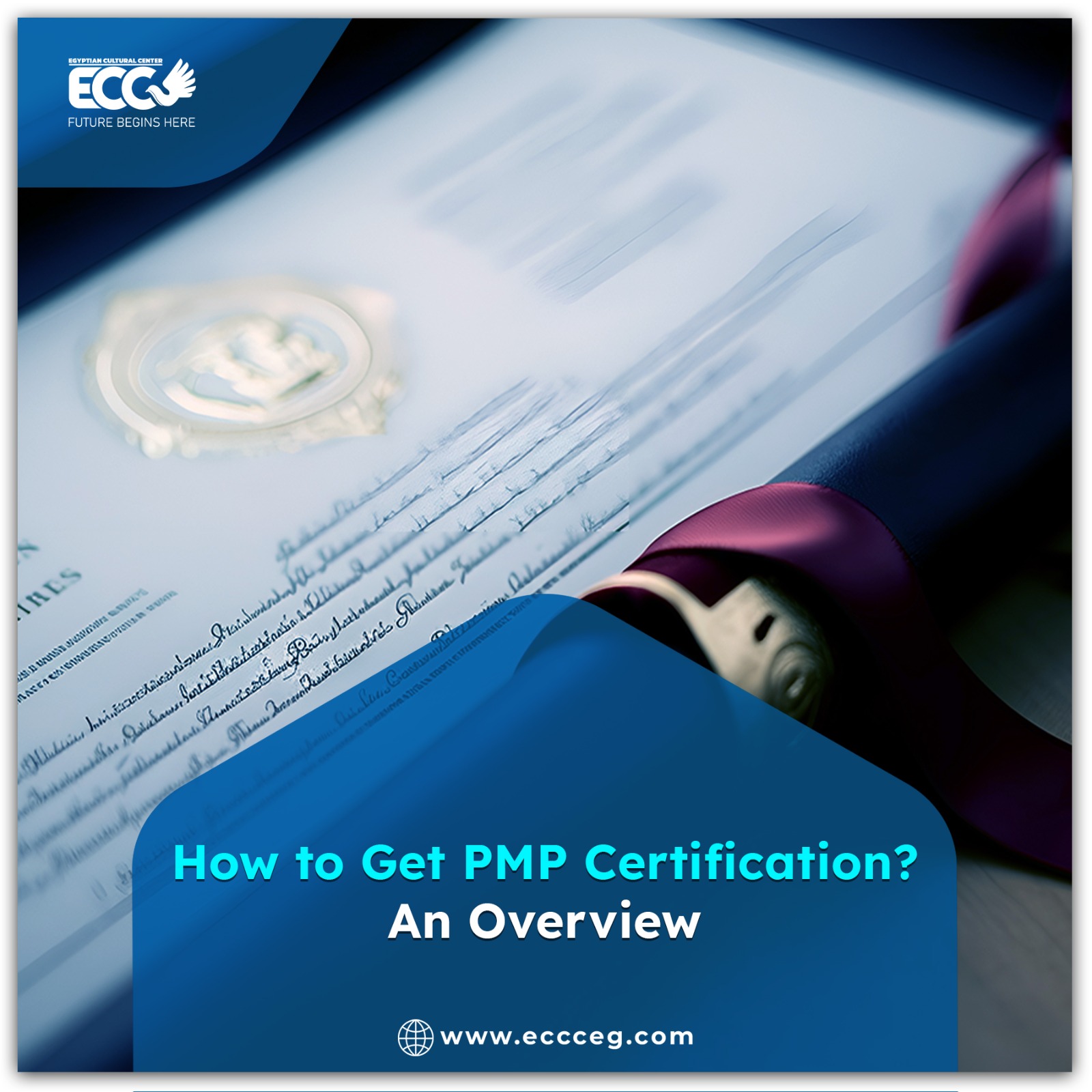 How to Get a PMP Certification: An Overview