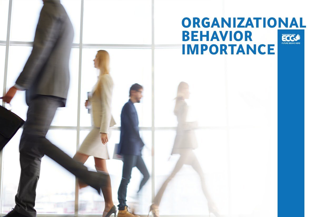 organizational behavior importance