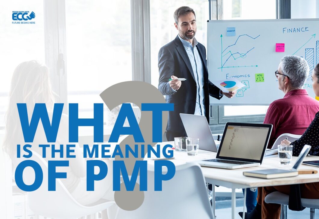 what is the meaning if PMP