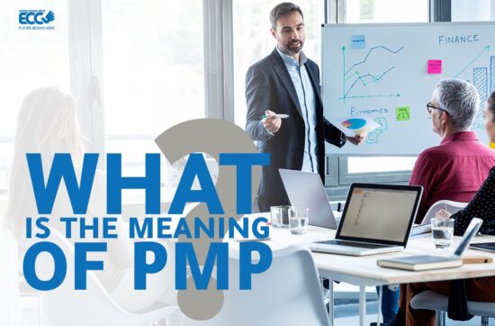 what is the meaning if PMP