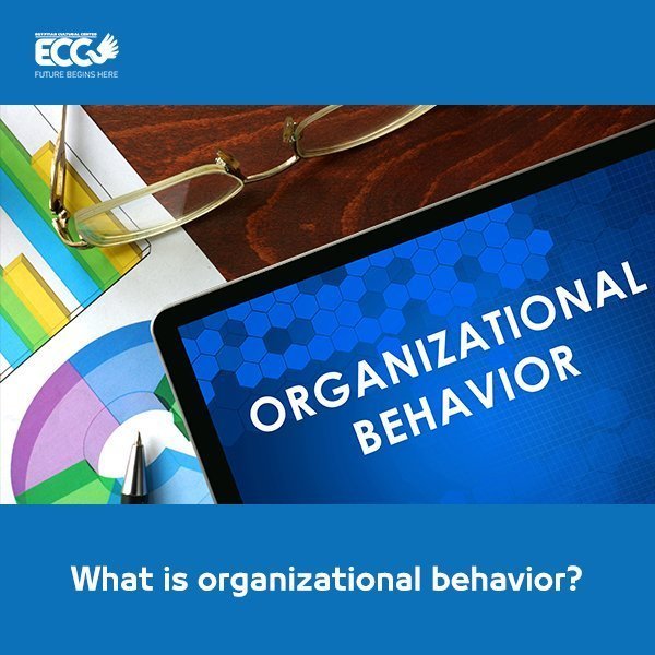 What is organizational behavior?