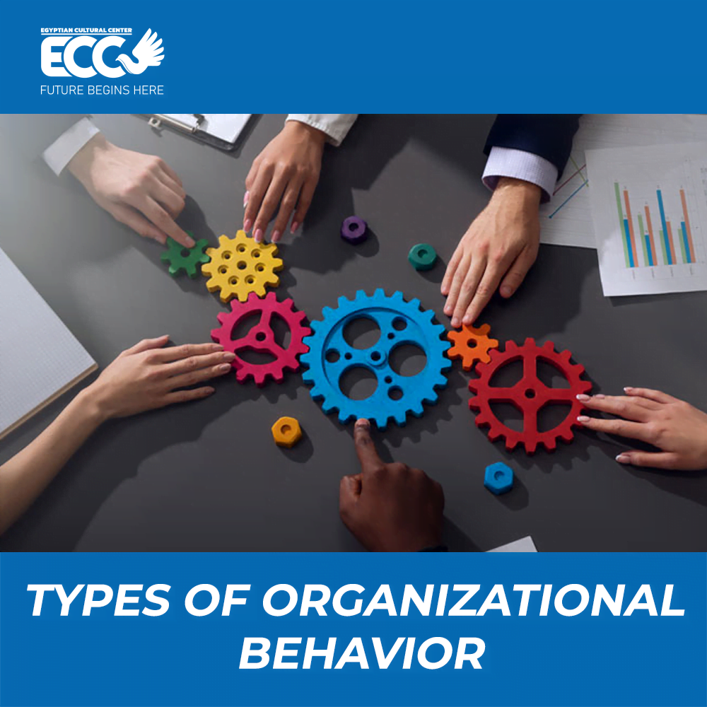 Types organizational behavior