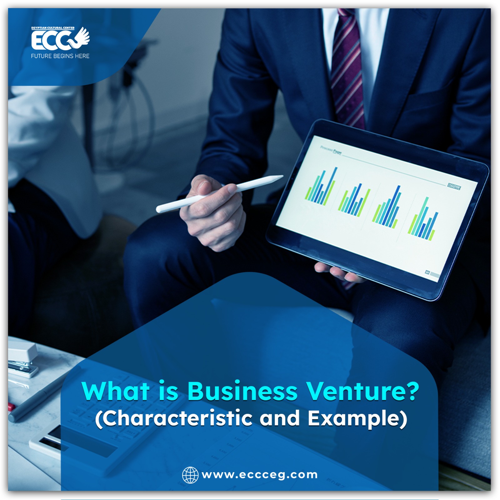 What is a business venture? Characteristics and examples