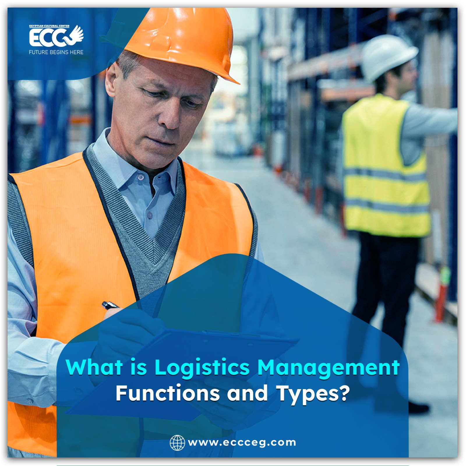What is logistics management: functions and types?