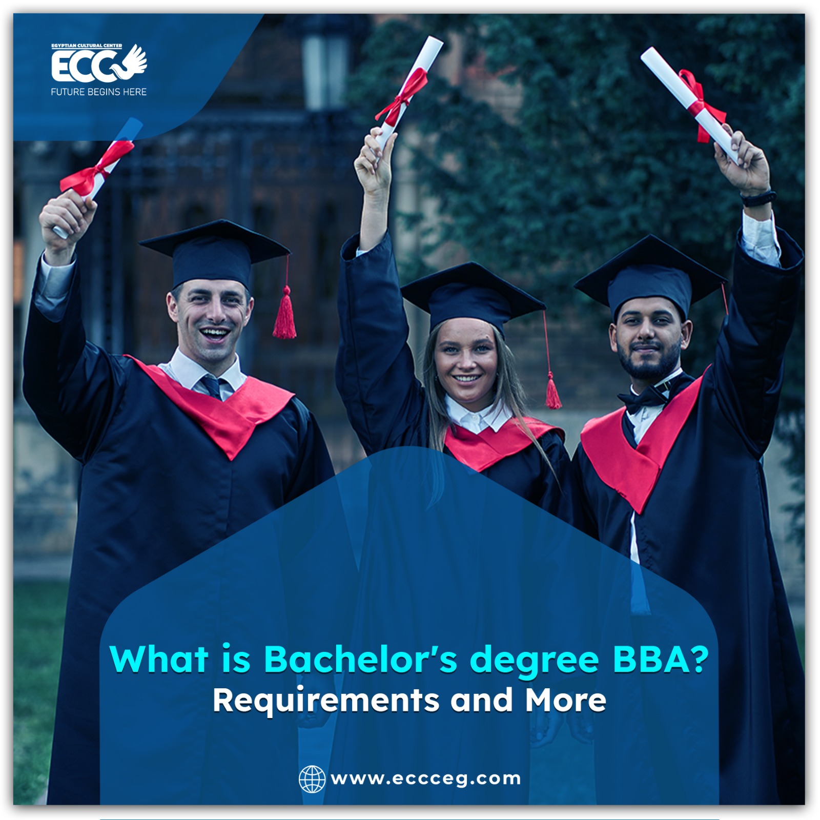 What Is a Bachelor’s Degree BBA? Requirements, and More